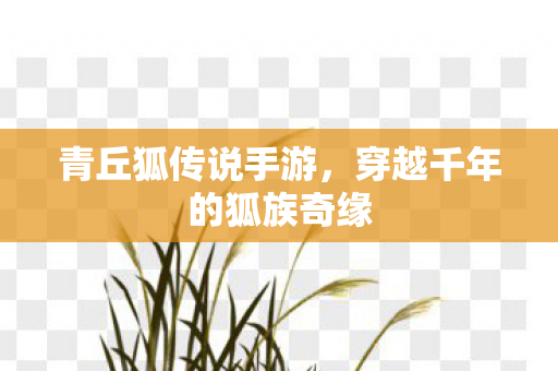 青丘狐传说手游，穿越千年的狐族奇缘