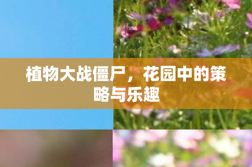 植物大战僵尸，花园中的策略与乐趣