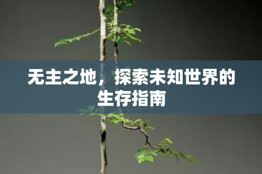 无主之地，探索未知世界的生存指南