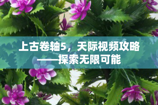 天际视频攻略图片