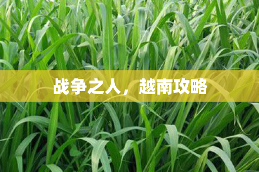 战争之人图片