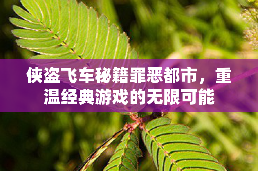 重温经典游戏的无限可能图片