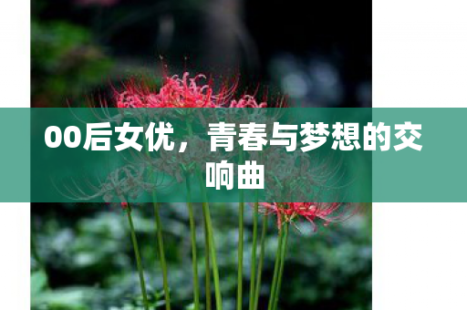 青春与梦想的交响曲图片