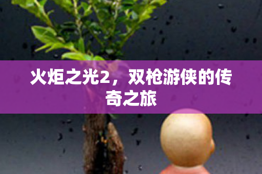 双枪游侠的传奇之旅图片