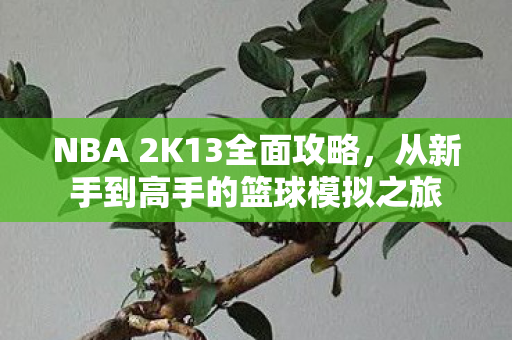 从新手到高手的篮球模拟之旅图片