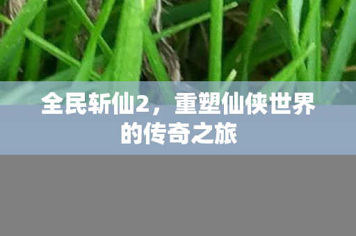 重塑仙侠世界的传奇之旅图片