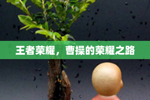 曹操的荣耀之路图片