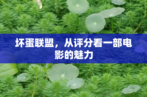 从评分看一部电影的魅力图片
