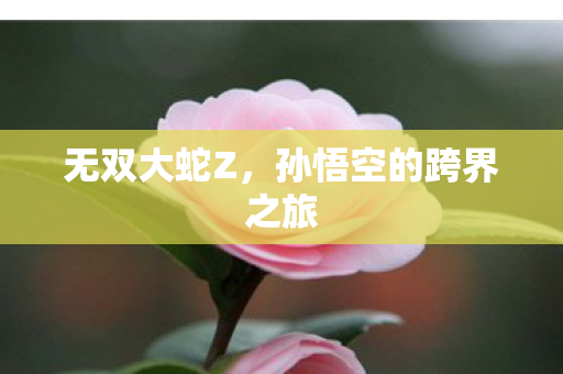 孙悟空的跨界之旅图片