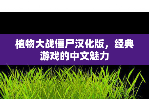 植物大战僵尸汉化版图片