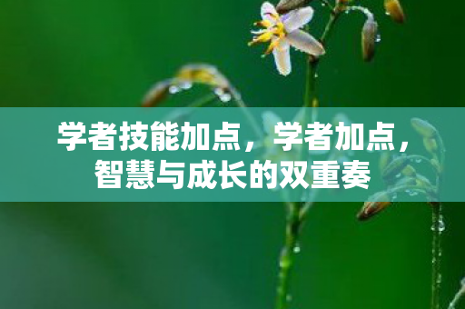 学者技能加点,学者加点,智慧与成长的双重奏 学者技能加点,学者加点,智慧与成长的双重奏