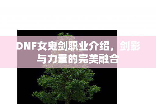 DNF女鬼剑职业介绍图片