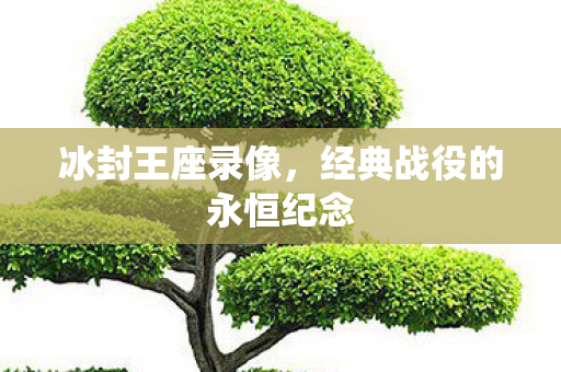 经典战役的永恒纪念图片