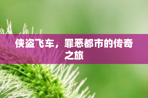 罪恶都市的传奇之旅图片
