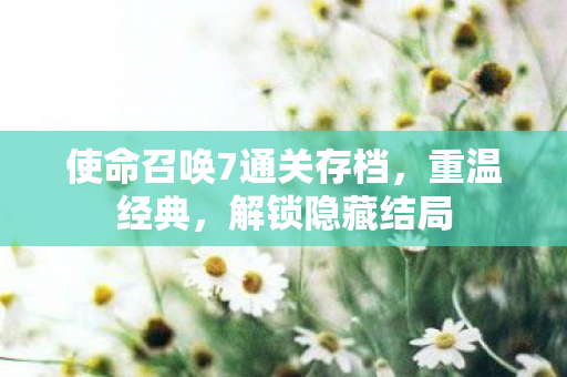 使命召唤7通关存档图片