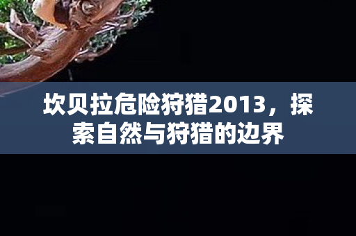 坎贝拉危险狩猎2013图片