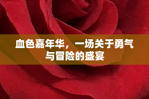 一场关于勇气与冒险的盛宴图片