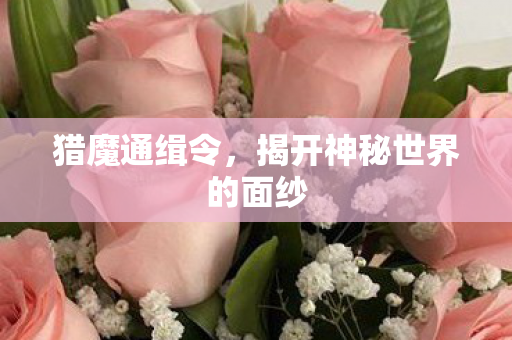 揭开神秘世界的面纱图片