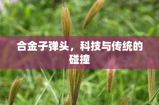 合金子弹头，科技与传统的碰撞