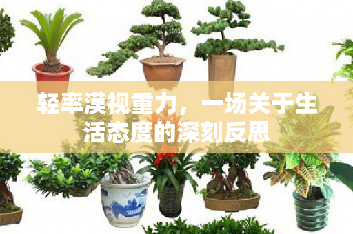 一场关于生活态度的深刻反思图片