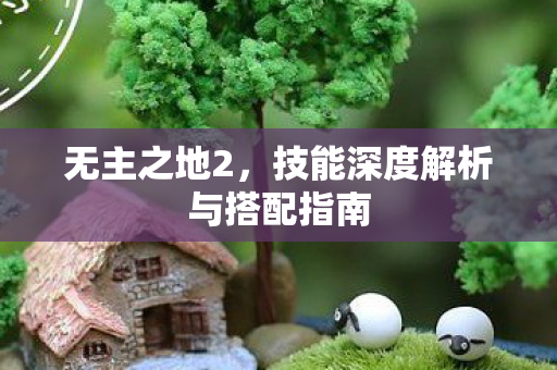 无主之地2，技能深度解析与搭配指南