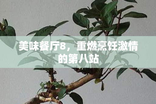 美味餐厅8，重燃烹饪激情的第八站