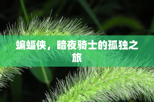 蝙蝠侠，暗夜骑士的孤独之旅