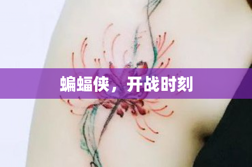 开战时刻图片