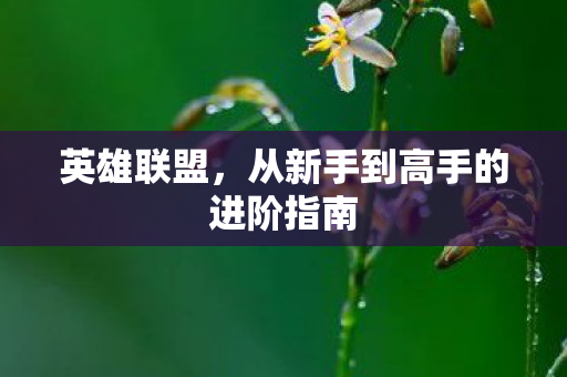 从新手到高手的进阶指南图片