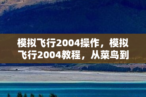 模拟飞行2004操作，模拟飞行2004教程，从菜鸟到飞行员的飞跃