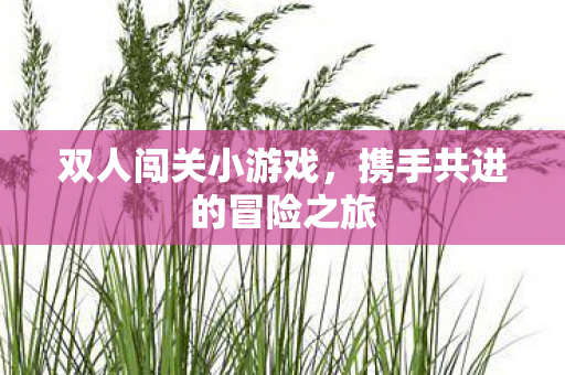 双人闯关小游戏，携手共进的冒险之旅