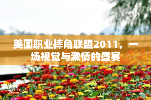 美国职业摔角联盟2011，一场视觉与激情的盛宴