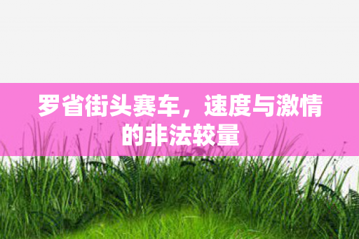 罗省街头赛车，速度与激情的非法较量