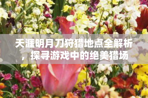 天涯明月刀狩猎地点全解析，探寻游戏中的绝美猎场