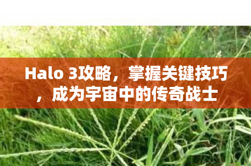Halo 3攻略，掌握关键技巧，成为宇宙中的传奇战士