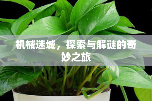 机械迷城，探索与解谜的奇妙之旅