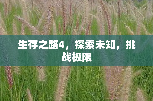 生存之路4,探索未知,挑战极限 生存之路4,探索未知,挑战极限