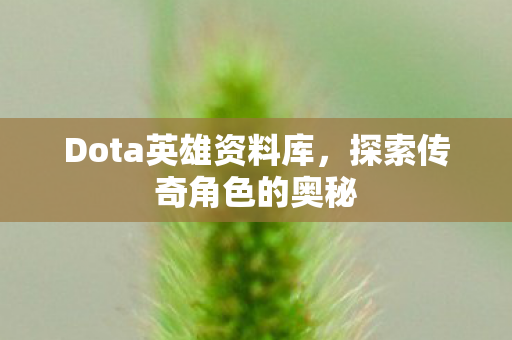 Dota英雄资料库，探索传奇角色的奥秘