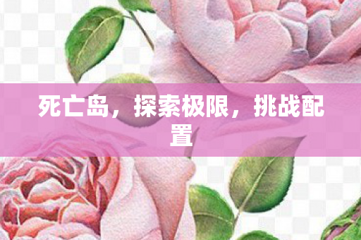 死亡岛，探索极限，挑战配置