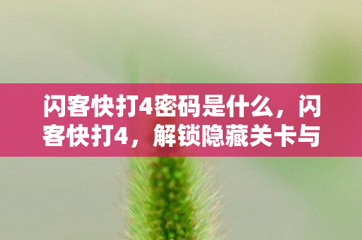 闪客快打4密码是什么,闪客快打4,解锁隐藏关卡与角色,揭秘游戏密码 闪客快打4密码是什么,闪客快打4,解锁隐藏关卡与角色,揭秘游戏密码