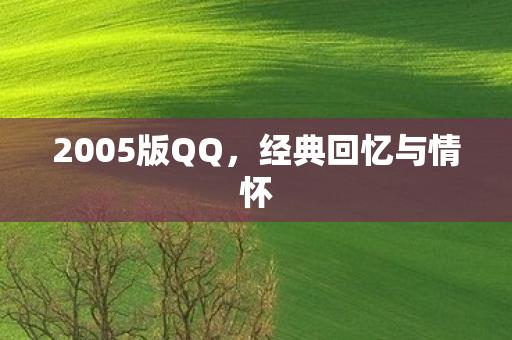 2005版QQ，经典回忆与情怀