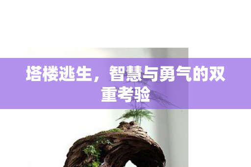 塔楼逃生，智慧与勇气的双重考验