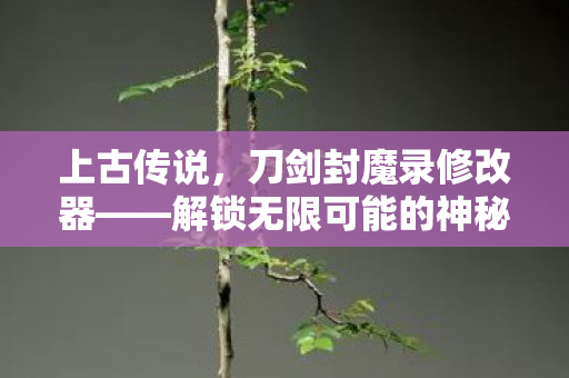 上古传说，刀剑封魔录修改器——解锁无限可能的神秘工具