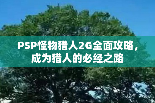 PSP怪物猎人2G全面攻略，成为猎人的必经之路