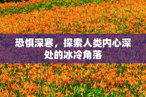 恐惧深寒，探索人类内心深处的冰冷角落