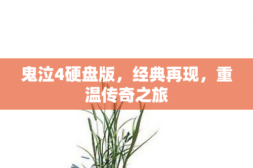 鬼泣4硬盘版，经典再现，重温传奇之旅