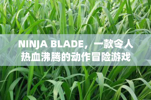 NINJA BLADE,一款令人热血沸腾的动作冒险游戏 NINJA BLADE,一款令人热血沸腾的动作冒险游戏