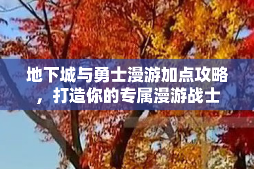 地下城与勇士漫游加点攻略，打造你的专属漫游战士