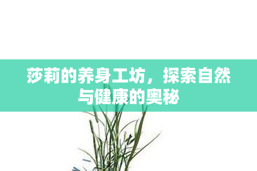 莎莉的养身工坊，探索自然与健康的奥秘