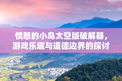 愤怒的小鸟太空版破解器，游戏乐趣与道德边界的探讨